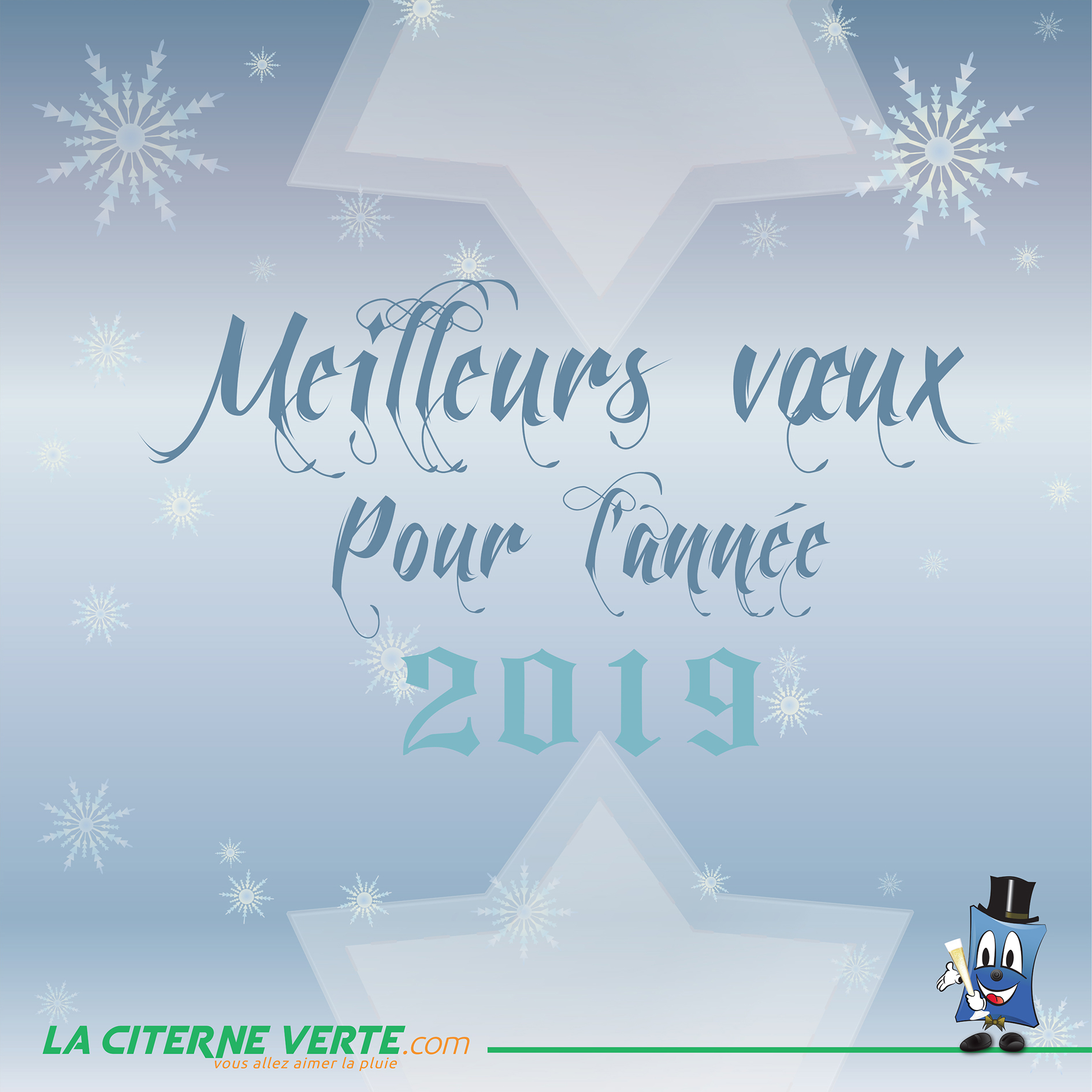 Voeux2019plus petite.jpg