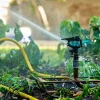 Système d'irrigation relié à une citerne souple