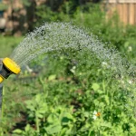 Les restrictions d'arrosage en été