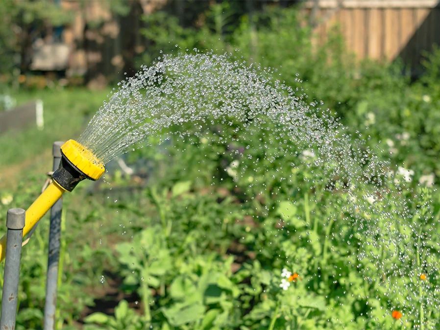 Les restrictions d'arrosage en été
