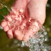 L'évolution du prix de l'eau